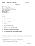 Phase II Metabolism of Drugs