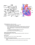 Circulatory System (aka cardiovascular system) Transports waste