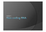 Non-coding RNA