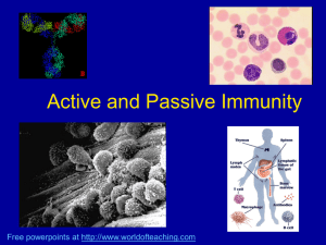 Active and passive immunity IGCSE