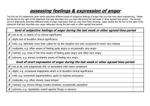 Anger Assessment Questionnaire