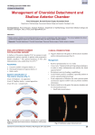 Management of Choroidal Detachment and Shallow Anterior Chamber