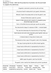 Glossary of Terms – DNA and the production of proteins