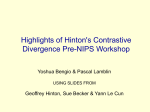 Highlights of Hinton`s Contrastive Divergence Pre