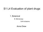 L4 Evaluation of plant drugs