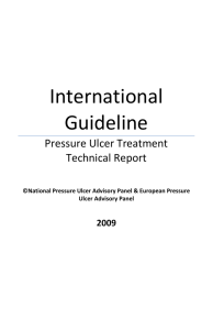 International Guideline - National Pressure Ulcer Advisory Panel