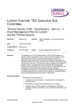 London Councils TEC (Executive)