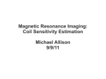 Magnetic Resonance Imaging: Coil Sensitivity Estimation Michael