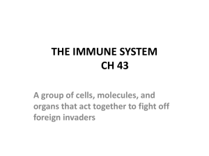 THE IMMUNE SYSTEM CH 43