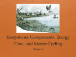 Ecosystems: Components, Energy Flow, and Matter - RHS-APES