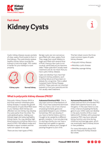 Kidney Cysts fact sheet - Kidney Health Australia