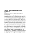 Molecular Insight into Hydrothermal Solution Geochemistry