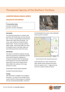Carpentarian grasswren - Northern Territory Government