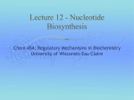 Lecture 12 - Nucleotide Biosynthesis - chem.uwec.edu