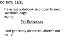 Cell Processes notes 11/21