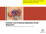 Cellular and Antibody Mediated Graft Rejection