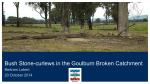 Bush Stone-curlews in the Goulburn Broken