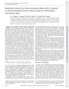 Interleukin-6 release from human abdominal adipose cells is