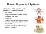 6Human Organs and Systems2p