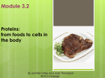 Protein - HCC Learning Web