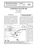 1) DIGESTION IN THE DAIRY COW