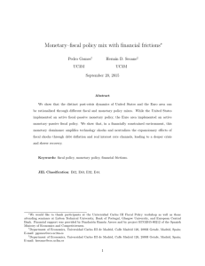 Monetary-fiscal policy mix with financial frictions (1 MB )