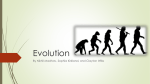 Evolution - Nikhil Madhav