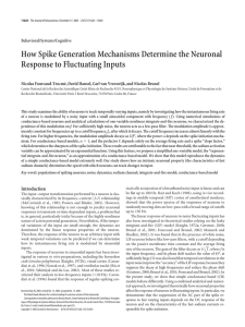 How Spike Generation Mechanisms Determine the Neuronal