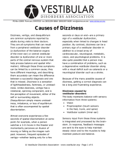 Causes of Dizziness - Vestibular Disorders Association