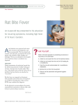 Rat Bite Fever - Clinician`s Brief