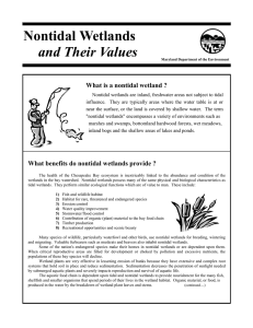 Nontidal Wetlands and Their Values