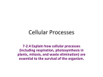 Cellular Processes