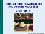 host - microbe relationships and disease