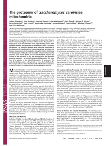 The proteome of Saccharomyces cerevisiae mitochondria