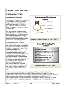 6. RENAL PHYSIOLOGY