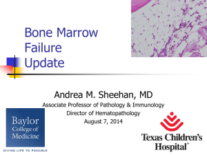 Bone Marrow Failure Update