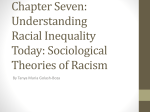 Chapter Seven: Understanding Racial Inequality Today