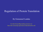 Stke-Protein-Synthesis