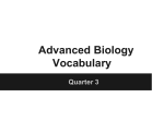 Advanced Biology Vocabulary Quarter 3 Carcinogen