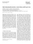 Spike-timing-dependent plasticity: common themes