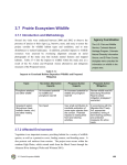3.7 Prairie Ecosystem Wildlife