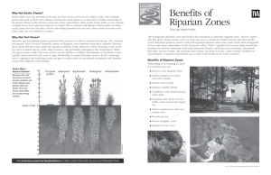 Benefits of Riparian Zones