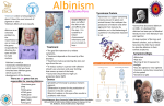 Albinism Poster - Harlem Children Society