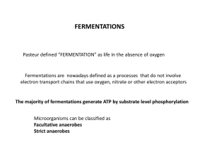 fermentations