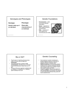 Genotypes and Phenotypes Genetic Foundations Boy or Girl