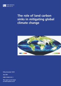 The role of land carbon sinks in mitigating global