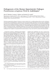 Pathogenesis of the Human Opportunistic Pathogen