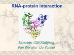 RNA-protein interaction