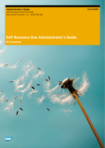 SAP Business One Administrator`s Guide
