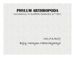 phylum arthropoda - Bejoy Narayan Mahavidyalaya